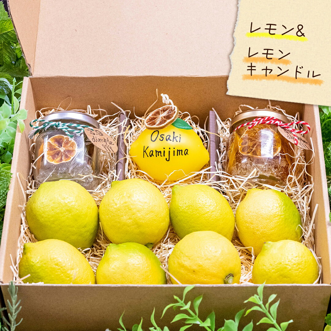 【ふるさと納税】【 先行予約 】 贈り物に 甘く香る レモンドキャンドル3個 ＆ 生果レモン約1kg ギフトセット 1月～2月末発送予定 ワックス不使用 防腐剤不使用 国産 岩崎農園 広島県 大崎上島町 檸檬 お取り寄せ