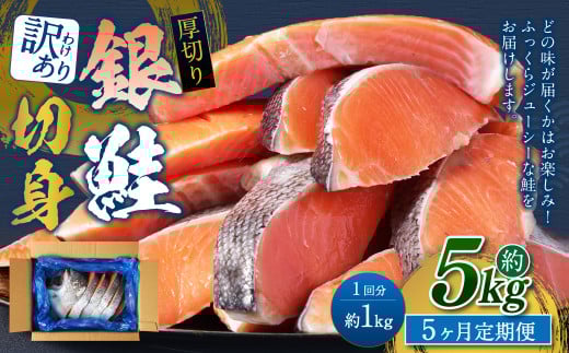 【5カ月定期便】【訳あり】 厚切り 銀鮭切身 約1kg×5回 合計約5kg 銀鮭 鮭 サケ 切り身 魚 魚介 しゃけ