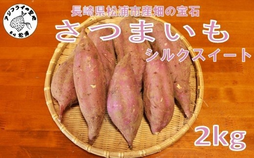 
                  【長崎県松浦市産】畑の宝石 さつまいも(シルクスイート) 2kg ( さつまいも シルクスイート 長崎県松浦市産 長崎県産 )【A5-020】
                