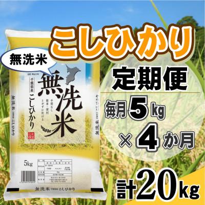 ふるさと納税 大網白里市 【毎月定期便】コシヒカリ 無洗米 5kg (5kg×1袋)全4回