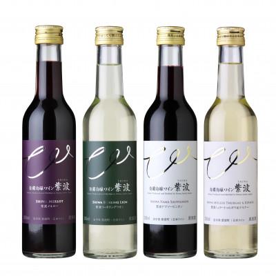 ふるさと納税 紫波町 【自園自醸ワイン紫波】辛口・甘口 飲み比べミニボトル4本セット | 