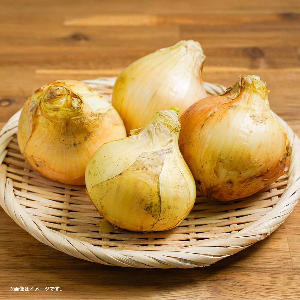 【ふるさと納税】 新玉ねぎ L～2Lサイズ 約10kg（15個～20個） 玉ねぎ 玉葱 たまねぎ タマネギ 野菜 やさい サラダ 熊本県産 国産 九州 熊本県 熊本市 送料無料 【2027年1月上旬～3月下旬発送予定】