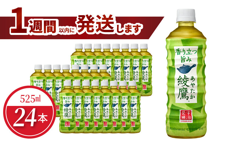 
綾鷹 PET 525ml（24本入）
