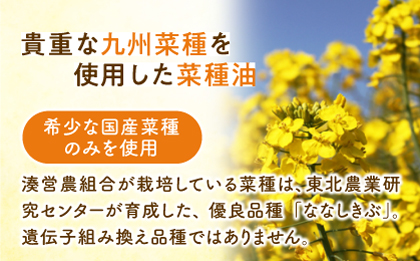 一番搾り 菜の花油 1本 + 菜の花 サラダ油 2本 《築上町》【農事組合法人 湊営農組合】 [ABAQ014]