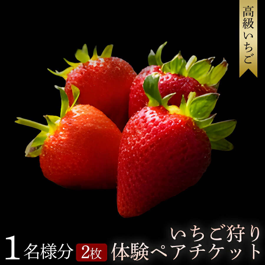 【ふるさと納税】いちご狩り体験チケット ( 2名様分) ペアチケット | いちご いちご狩り みなべ町 果物 フルーツ 体験 ペア チケット 関西 和歌山