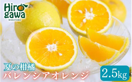 バレンシアオレンジ 家庭用 2.5kg+250g(痛み補償分) / みかん オレンジ 甘い 高級 和歌山 柑橘 ※7月中旬頃〜8月中旬頃 に順次発送 ※北海道・沖縄・離島への配送不可 【ikd027-c-2d5】
