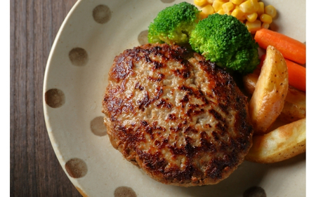 伊賀牛 ハンバーグ150g×5個 伊賀牛 【cook0019】