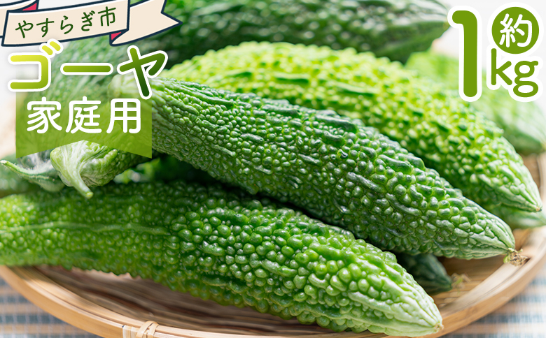 【2025年10月以降発送】ゴーヤ 1kg 家庭用 - 国産 野菜 青果 ごうや 苦瓜 天ぷら 炒め物 ご家庭用 不揃い 傷 やすらぎ市 高知県 香南市 常温 yr-0073