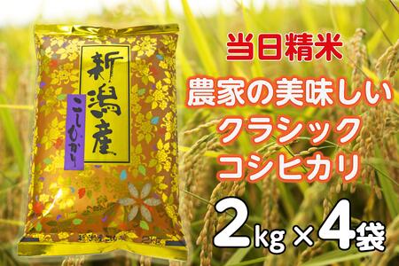 【令和6年産新米】 当日精算! 農家直送 美味しい クラシックコシヒカリ 2kg×4袋 計8kg 精米 白米 1F18024