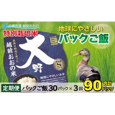 ふるさと納税 大野市 【3ヶ月定期便】地球にやさしいパックご飯 30食入り【白米】× 3回 計90食