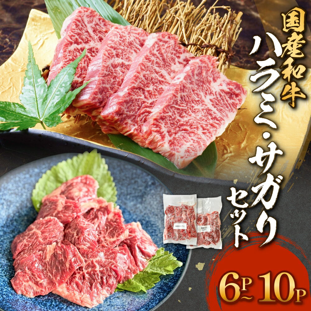 【ふるさと納税】国産和牛 ハラミ サガリ セット 6P または 10P 国産 和牛 牛肉 肉 お肉 はらみ さがり 宮城県産 焼肉 バーベキュー 宮城県 石巻市