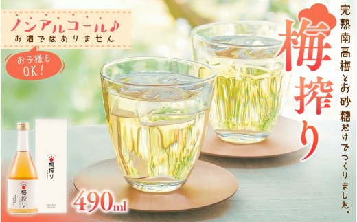 梅搾り（ノンアルコール）490ml 【プレミア和歌山認定品】 / 紀州南高梅 梅干し 梅干 梅 うめ 梅ジュース 和歌山 田辺市 炭酸割り 紀州産 南高梅 完熟梅【isg027-1】