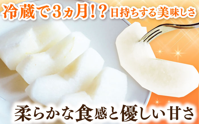 【100年続く梨農家直送】【化粧箱入り】秋丸（王秋）5-8個入（約3kg） / 梨 なし 伊万里梨 フルーツ 果物 / 佐賀県 / 大川三世代 [41AEAB011]