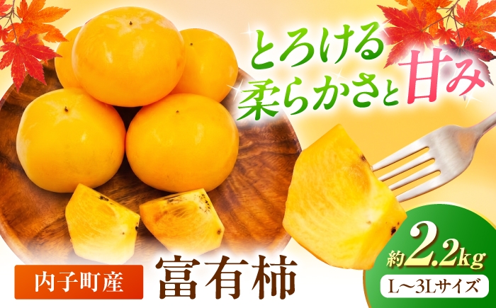 
                  柿 【先行予約】 富有柿 2.2kg みきゃん箱【北海道・沖縄配送不可】 ／ 甘柿 柿 かき カキ 果物 フルーツ 国産 産地直送 人気 送料無料 ふゆうかき フユウカキ 甘い あまい 旬 内子町 愛媛 四国 愛媛県産 特産品 ギフト 贈答品 お取り寄せ 食品 グルメ 季節限定 ふるさと納税 農産物 旬の味覚 プレゼント 【株式会社フジ・アグリフーズ】 [BKAY018]
                