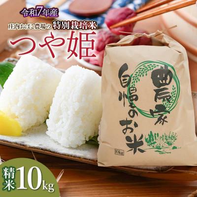 ふるさと納税 鶴岡市 (令和7年産先行予約)庄内おばこ農場の特別栽培米つや姫精米 10kg[K-7120]