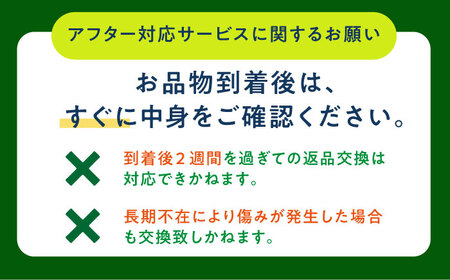 【先行予約】 タカミメロン 約5kg(3〜5玉)【2025年6月中旬-7月初旬順次発送】 メロン メロン メロン メロン メロン 小値賀園芸部会[DAT001] メロン メロン メロン