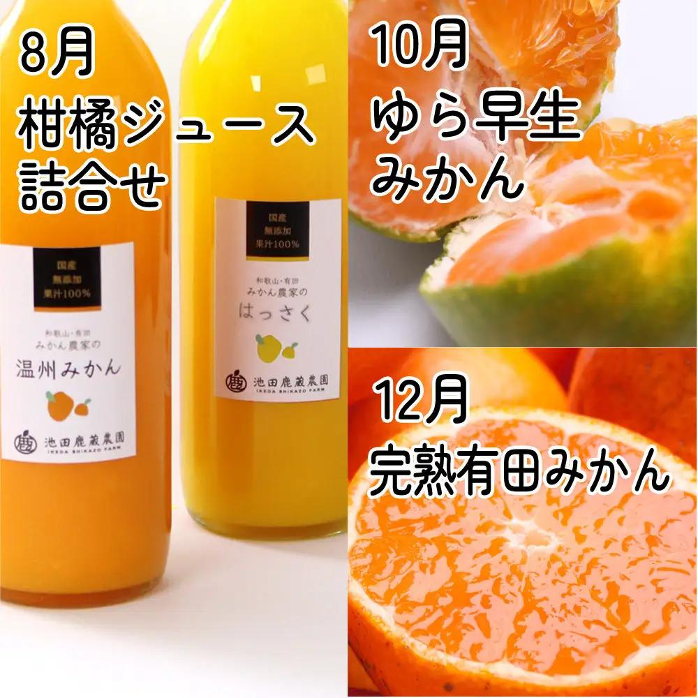 家庭用 柑橘定期便S（偶数月）全6回 ［IKE302］