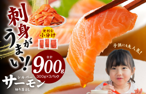 【便利でおいしい】サーモン 切り落とし 900g 小分け 300g×3 訳あり サイズ不揃い 刺身 海鮮丼 サラダ カルパッチョ 010B1195