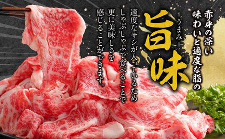 宮崎牛しゃぶしゃぶ切り落とし 1.2kg 牛肉 宮崎牛 しゃぶしゃぶ