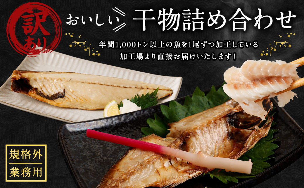 【訳あり規格外】業務用 干物詰め合わせ 1kg