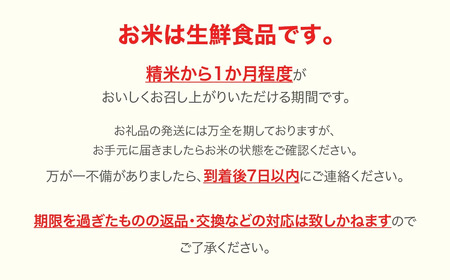 【先行予約】 新米 米 はえぬき 毎月定期便 10kg×3回 無洗米 令和7年産 2025年産 ja-hamxa10_tm