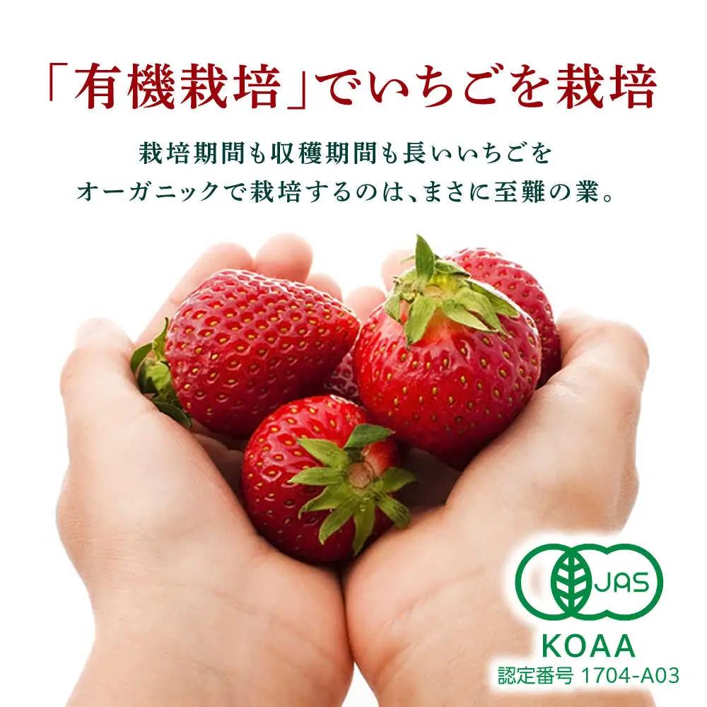 【12回定期便】高級 冷凍  いちご 加工用 約1kg（約500g×2袋）【伊藤農園】 果物 フルーツ イチゴ いちご 苺 熊本県 特産品 オーガニック 有機 恋みのり 冷凍 [ZBB017]