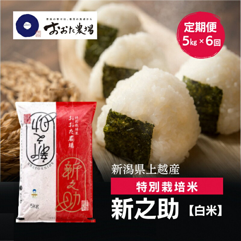 【ふるさと納税】令和8年産 新潟県上越産 特別栽培米 新之助 定期便 5kg×6回 計30kg 【白米】 しんのすけ 新米 おおた農場 上越市　お届け：寄附入金確認後、順次発送
