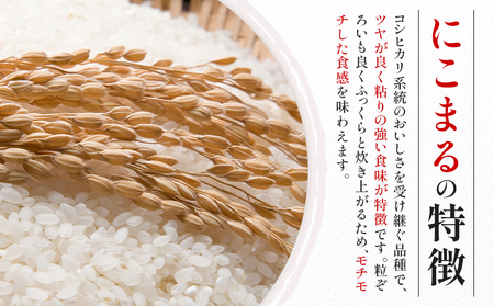 令和7年産 米 にこまる 約10kg (10kg×1袋) こめ コメ 玄米 西川農園《30日以内に出荷予定(土日祝除く)》 熊本県 荒尾市 米 玄米 こめ 