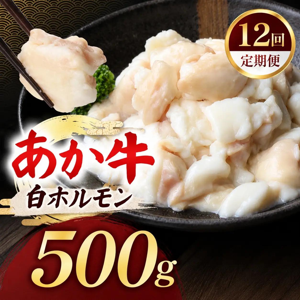 【定期便12回】あか牛 白 ホルモン 計500g (250g×2P)