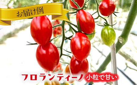 いろどりあざやか カラフルミニトマト 1.8kg　野菜 ミニトマト サラダ 愛西市/石原農園 [AEBG001]
