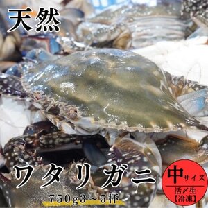 活〆 生 ワタリガニ (中) 750g 3~5杯 冷凍 特製 三杯酢付き セット 旬 期間限定 オス メス 海鮮 魚貝 魚介 わたりがに ワタリガニ