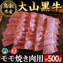 【ふるさと納税】大山黒牛モモ焼肉用(500g)鳥取県 大山 境港市 牛肉 肉 和牛 焼肉用 もも 冷凍 贈答 プレゼント ギフト【T-AC4】【大山ブランド会】