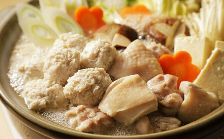 訳あり 博多水炊き 10人前セット [BGAB107] 水炊き 訳あり 人気