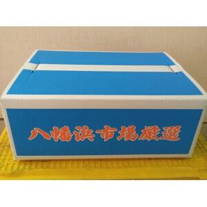 温州みかん【家庭用】約3kg【B76-15】【1539504】