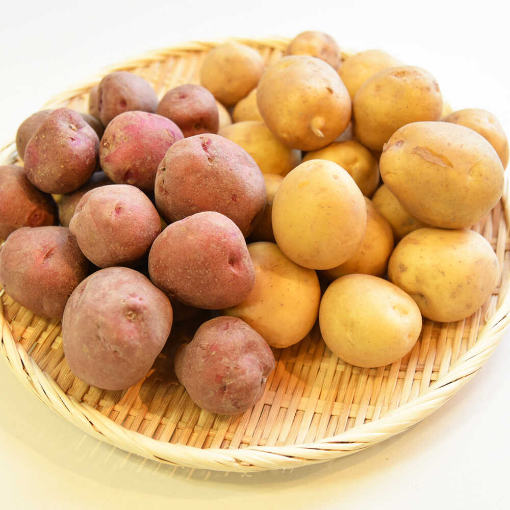 【ふるさと納税】【先行予約：2026年11月中旬頃より順次発送】和らぎ農法 ほっこり便 じゃがいも 秋じゃが編 5kg（栽培期間中、農薬・化学肥料・動物性堆肥不使用）/ じゃがいも セット 食べ比べ 新鮮 野菜 旬 / 滋賀県 栗東市 / ワダケン リアルソイルハウス[BIBM012]