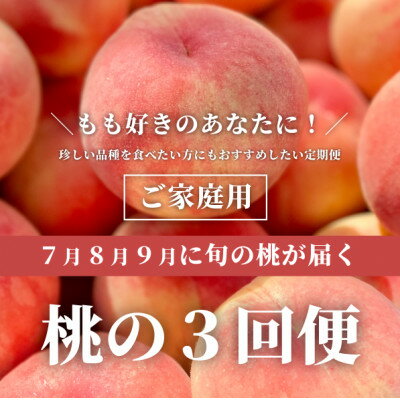 【ふるさと納税】【発送月固定定期便】桃好きの為の、桃3回便!(家庭用5-7玉入)(岡山県産)全3回【配送不可地域：離島】【4061982】
