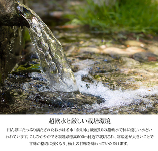 【5kg】令和7年産 日南町 高級米 七金星 (ななきんぼし) コシヒカリ 真空パック 米 お米 おこめ 鳥取県日南町 こしひかり