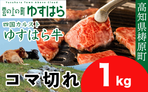 ゆすはら牛 コマ切れ 1kg