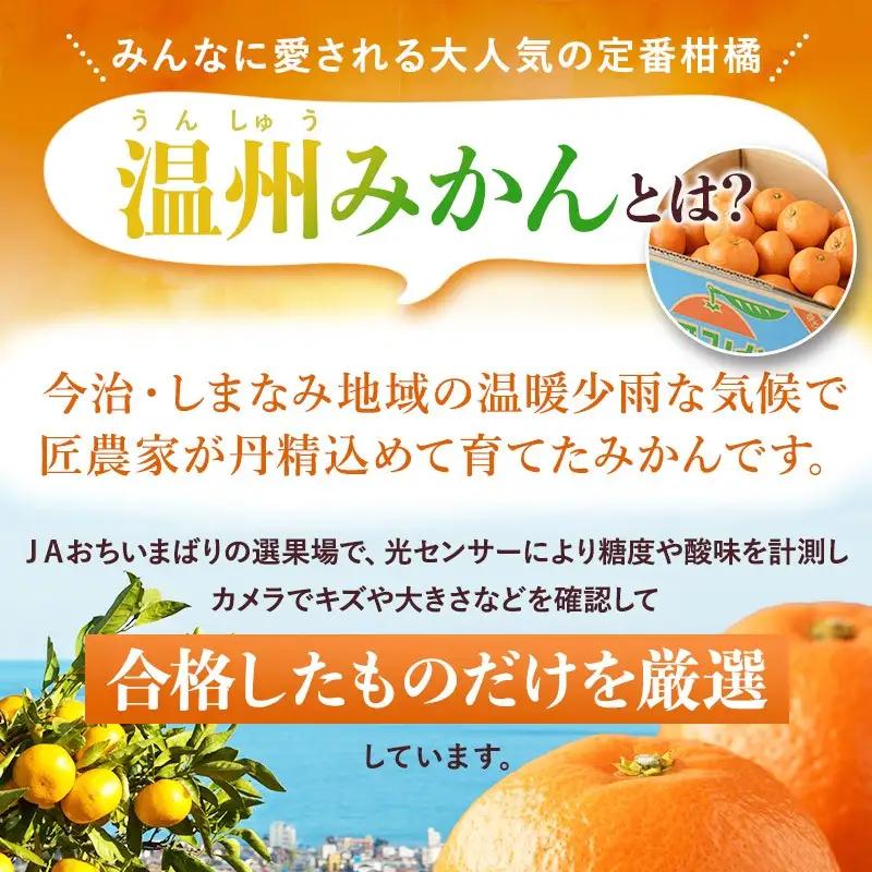 【先行予約】温州みかん 10kg 愛媛県今治市 みかん