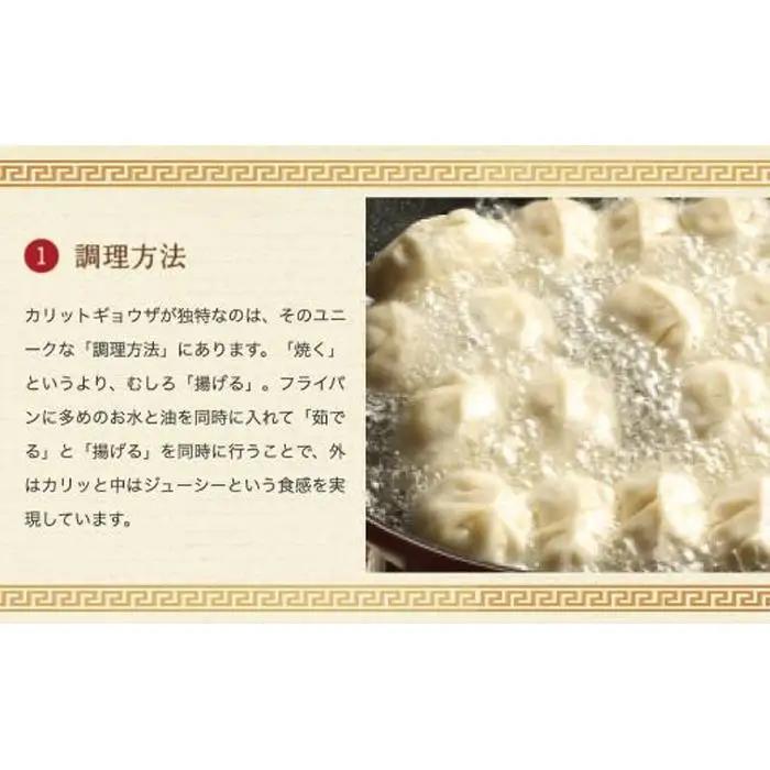 カリットギョウザ 生餃子 96ケ【11～12人前】ジューシー 大きい 冷凍餃子 冷凍生餃子