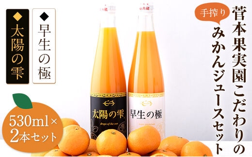 
										
										『菅本果実園』こだわりのみかん100％ストレートジュース 熊本県玉名郡玉東町 太陽の雫530ml×1本 早生の極み530ml×1本《11月下旬‐2023年4月末頃より順次出荷》---sg_mikanju_cf114_24_18500_2i---
									