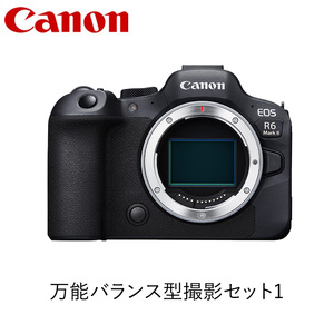 Canon キヤノン カメラボディレンズセット EOS R6Mark2 、 RF24-10528LISZ RF70-20028LIS ｜ キヤノン canon カメラ レンズ