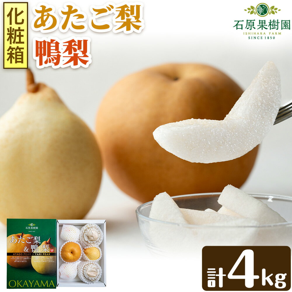 【ふるさと納税】【先行予約】梨 なし 梨 旬 あたご梨 鴨梨 詰め合わせ 計約4kg 化粧箱 石原果樹園 《2026年11月中旬-12月下旬頃より発送予定》岡山県 浅口市 果物 フルーツ 梨 詰め合わせ