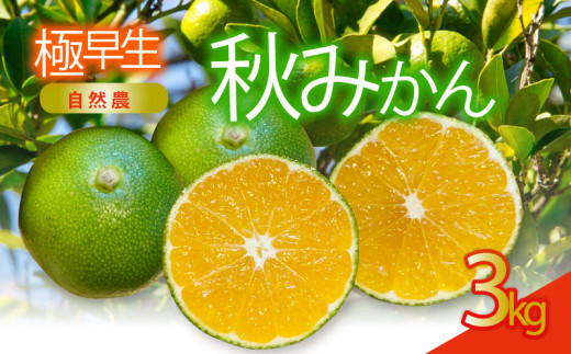 訳あり 極早生 秋 みかん 約3kg 蜜柑 早生 フルーツ 果物 国産 くだもの 産地直送 人気 お取り寄せ グルメ わけあり 常温 静岡県産みかん 静岡みかん オーガニック 西浦 沼津 静岡 自然農 ふるさと 納税 沼津みかん 美味しい 秋 西浦みかん 混合 静岡県産
