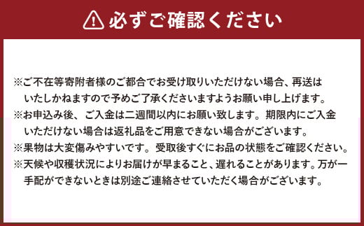 【2回定期便】岡山県産 フルーツ定期便コース（白桃 ・ シャインマスカット 晴王） 【2025年7月上旬発送開始】 ／ 2回 桃 もも マスカット 葡萄 ぶどう 果物 果実 フルーツ 旬 定期便 岡山
