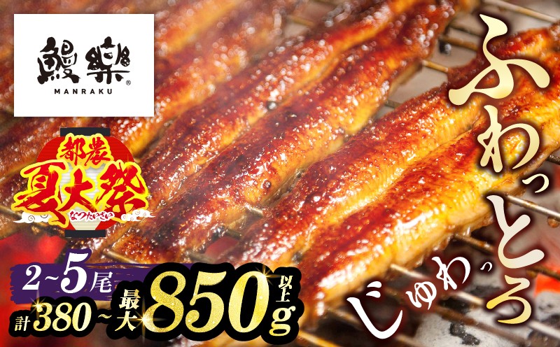 
                  ≪都農夏大祭!!≫【選べる配送月・選べる内容量】うなぎ蒲焼2尾 3尾 5尾(さんしょう・たれ付き)計380g 600g 850g以上 お中元 鰻 魚 魚介 加工品 国産_T026-0036-SKU-C
                