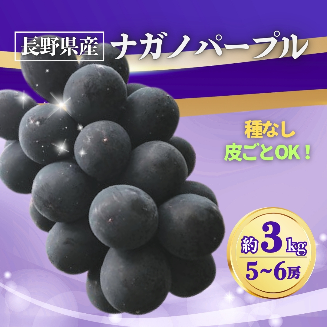 ぶどう ナガノパープル 約3kg(5~6房)｜ 果物 フルーツ 黒ぶどう 葡萄 ブドウ 種無し 種なし 皮ごと 千曲市 長野県 信州