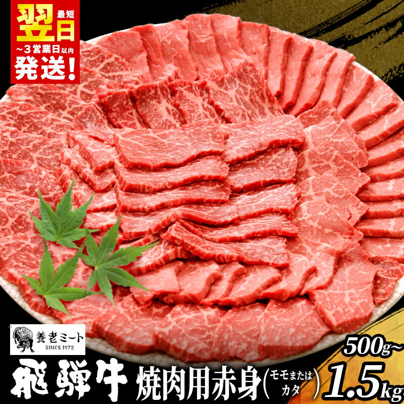 【ふるさと納税】 贅沢！ 飛騨牛 モモまたはカタ 焼肉用 500g～1.5kg 2～10人前 牛肉 和牛 肉 焼肉 BBQ 霜降り カルビ 赤身 モモ カタ 東白川村 岐阜 養老ミート