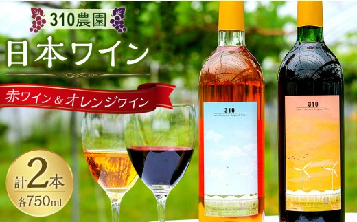 
                  ３１０農園・日本ワイン（小公子/赤ワイン・デラウエア/オレンジワイン セット） ワイン 酒 お酒 国産 赤ワイン オレンジワイン 2025年 ワインセット ワイン飲み比べ 飲み比べ ぶどう ブドウ 葡萄 鳥取県 北栄町 おすすめ 人気
                