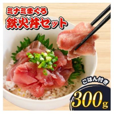 ふるさと納税 藤枝市 ミナミマグロ 鉄火丼 セット